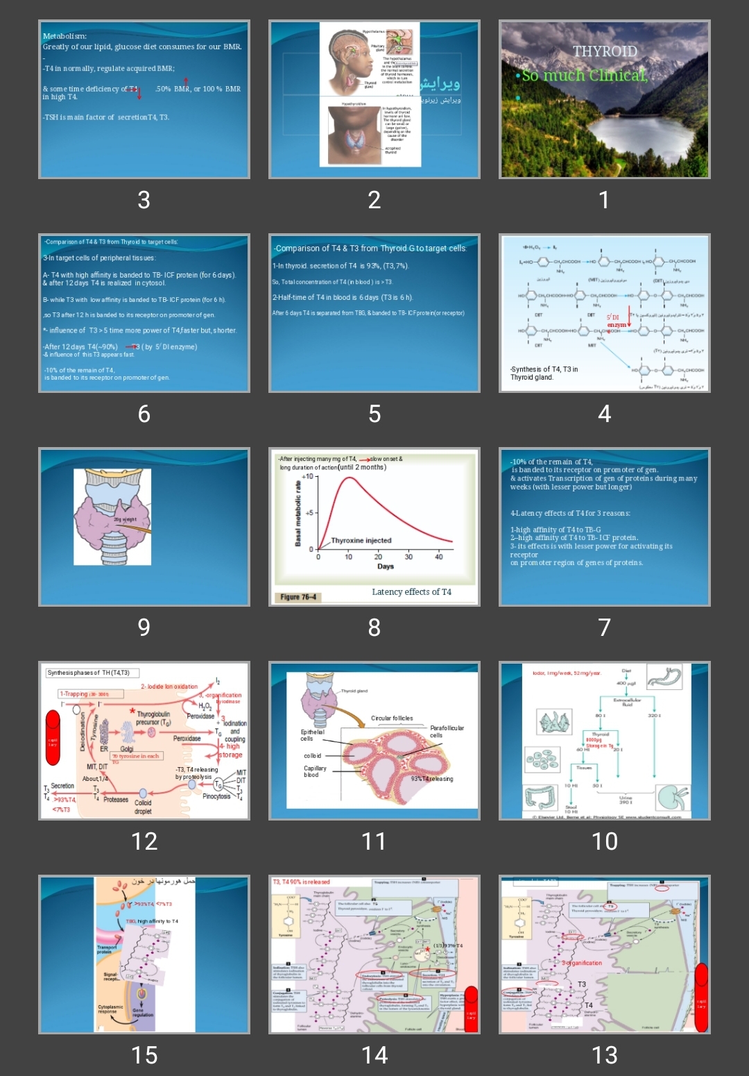 پاورپوینت THYROID sys