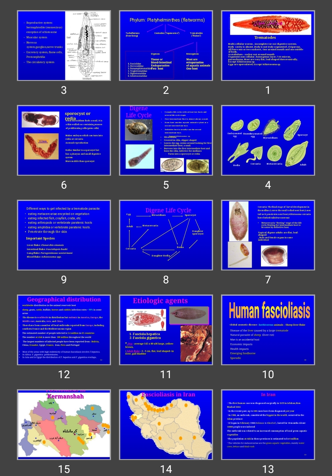 پاورپوینت Trematoda _FASCIOLIASIS