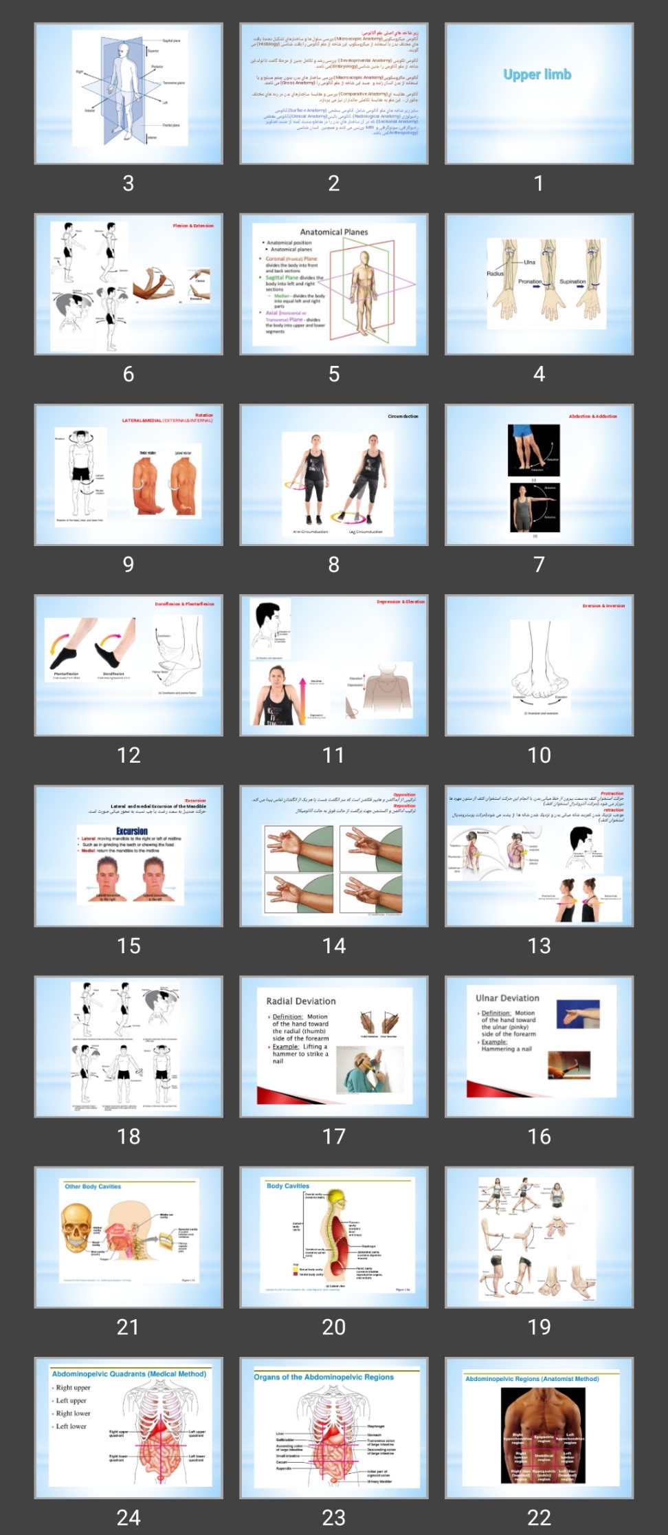 پاورپوینت Upper limb