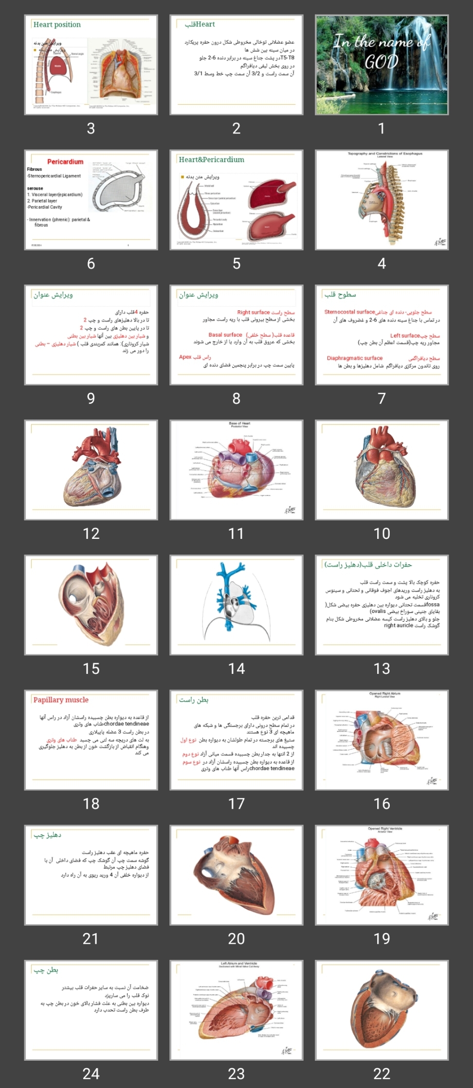 پاورپوینت vascular