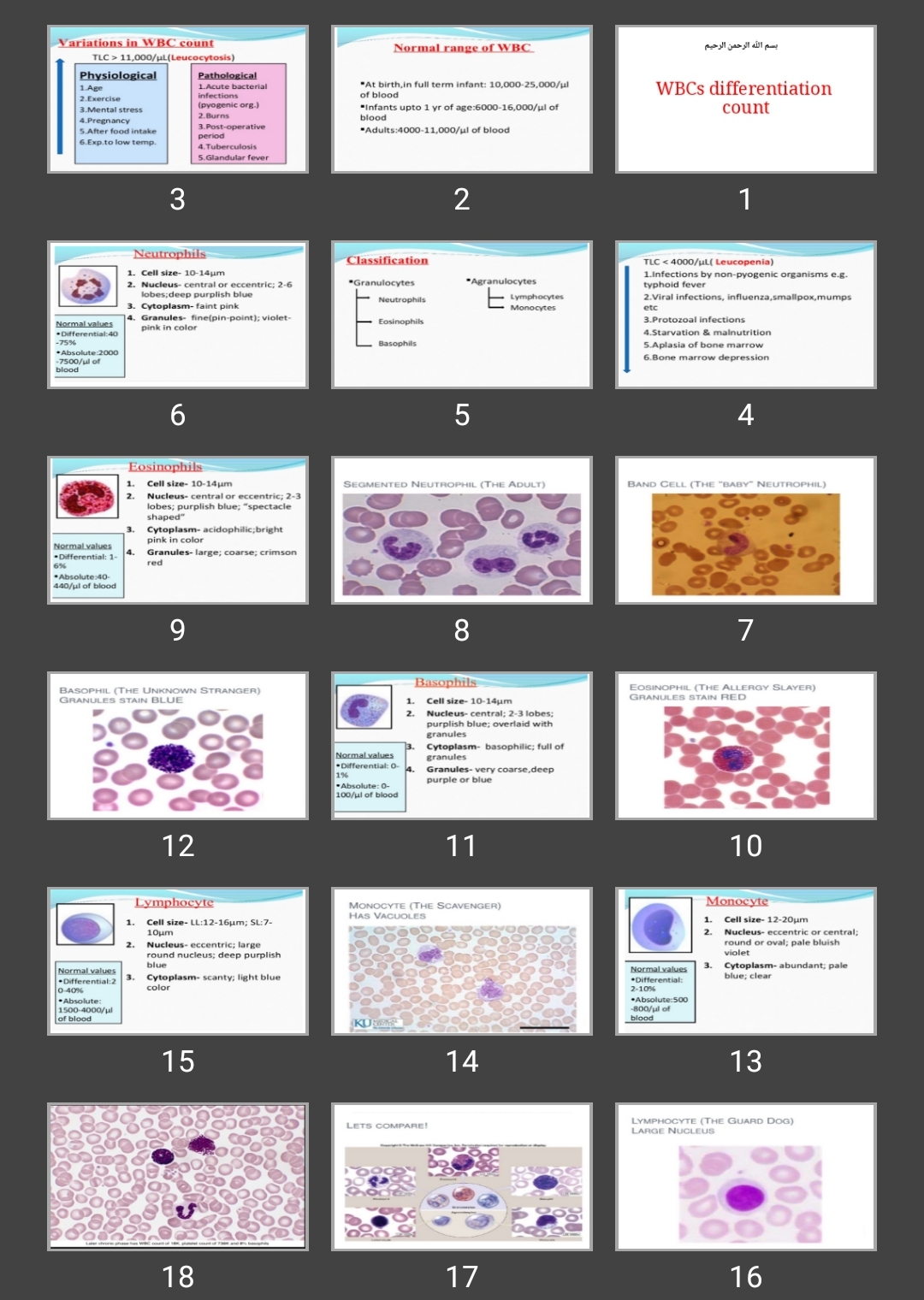 پاورپوینت WBCs differentiation count (لکوسیتر)